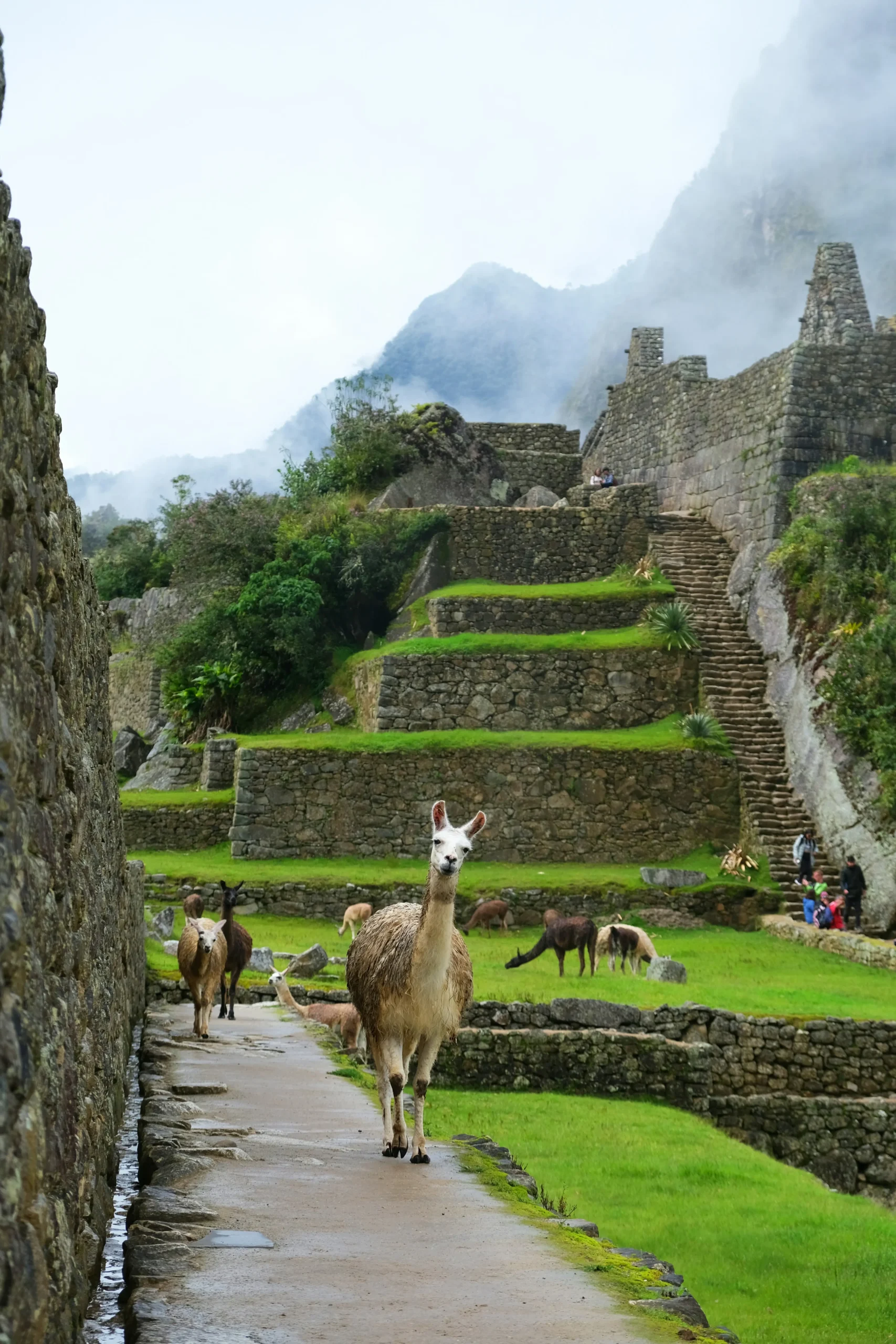 Ruinas Incas