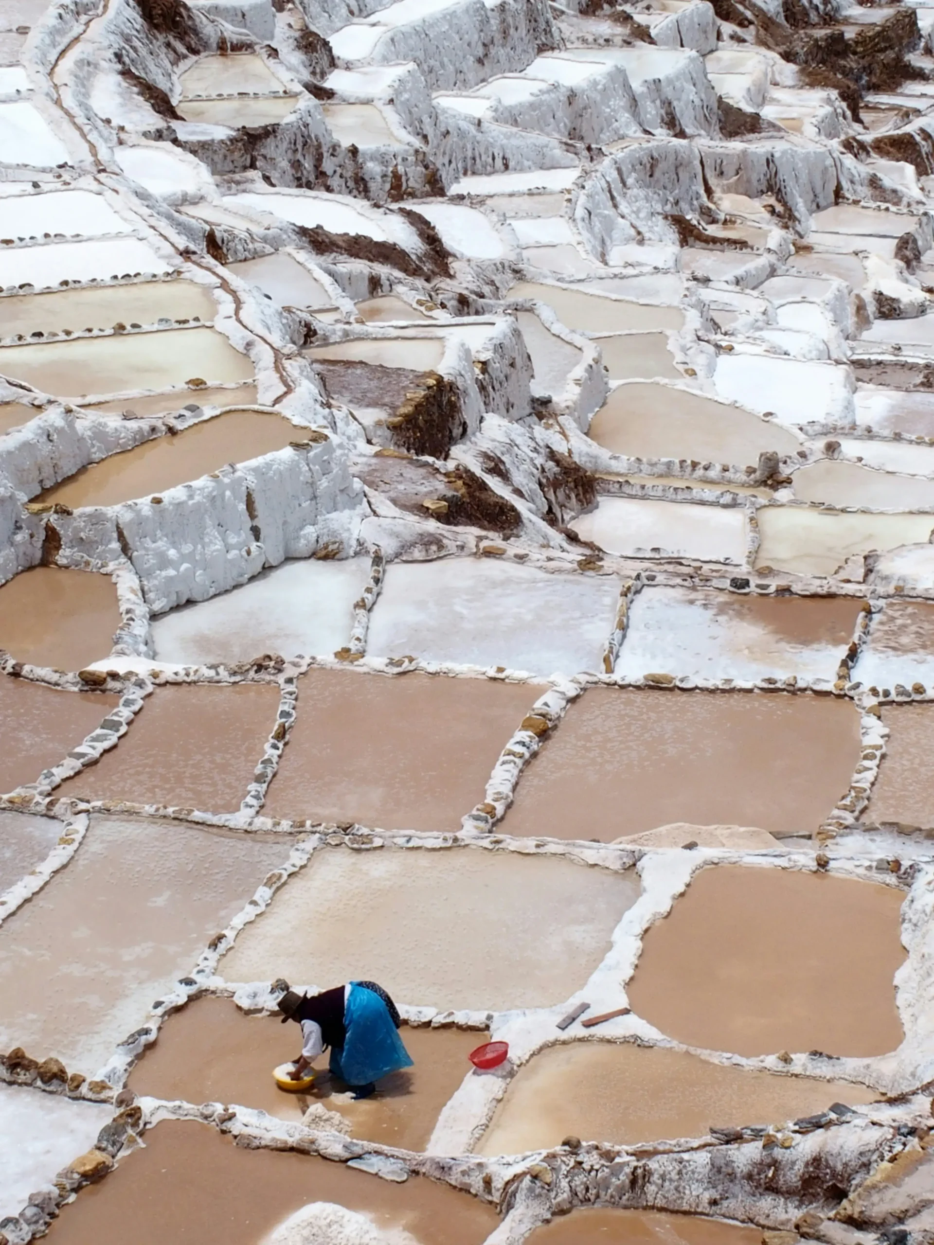 Maras Moray